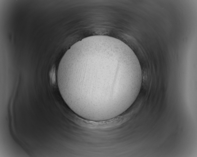 X0000088910046200707061353