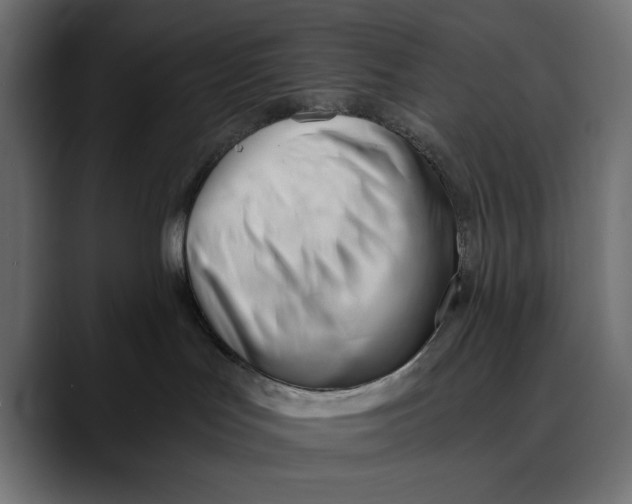 X0000088910047200707061353