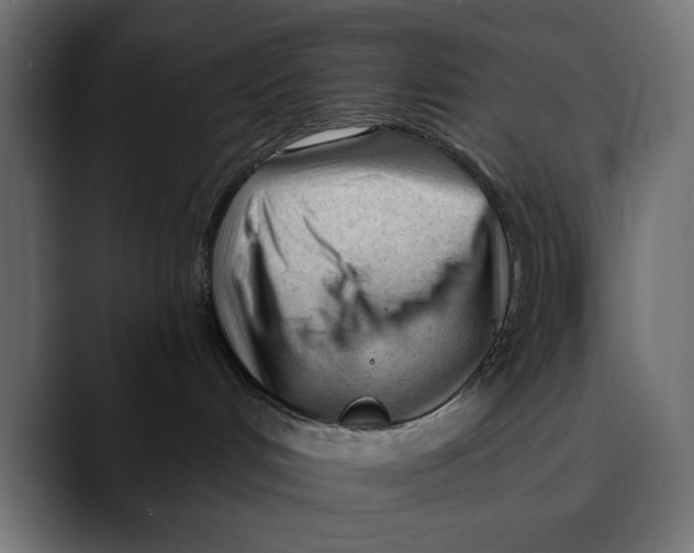 X0000088910048200707061353