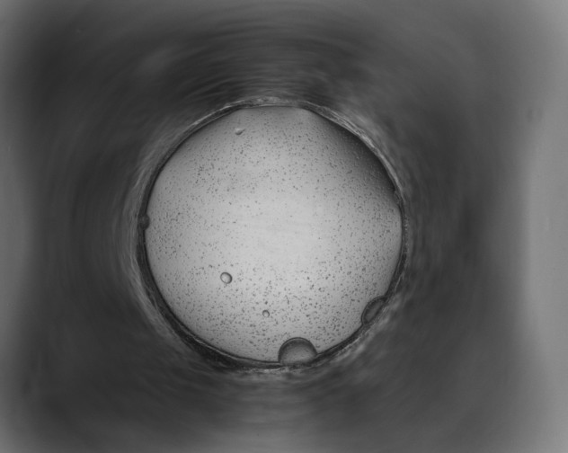 X0000088910049200707061352