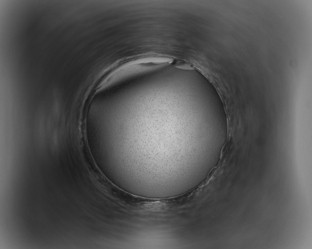 X0000088910050200707061352