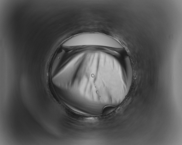 X0000088910053200707061352