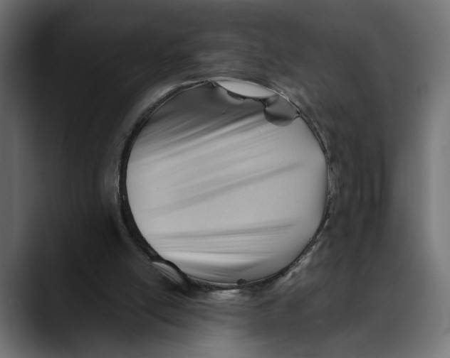 X0000088910054200707061353