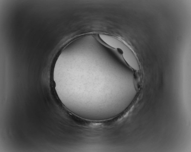 X0000088910055200707061353