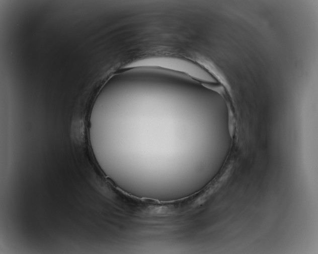 X0000088910057200707061353