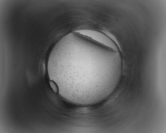 X0000088910061200707061353