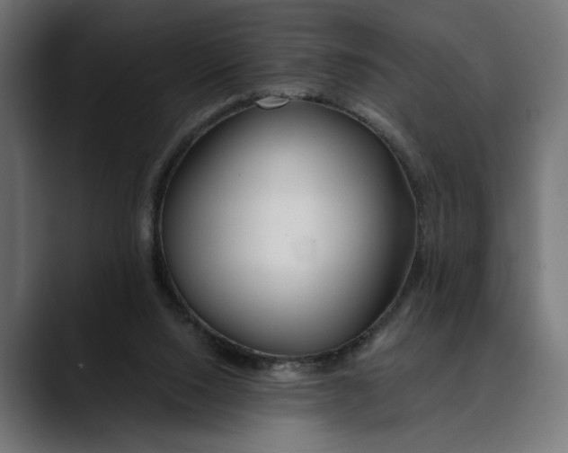 X0000088910064200707061353