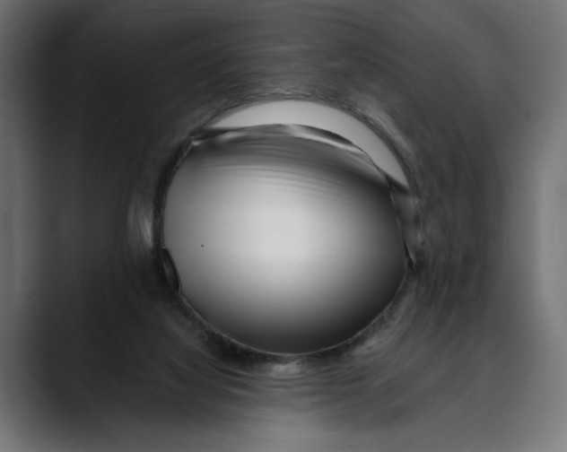 X0000088910068200707061353