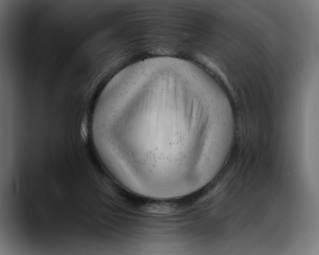 X0000088910069200707061353