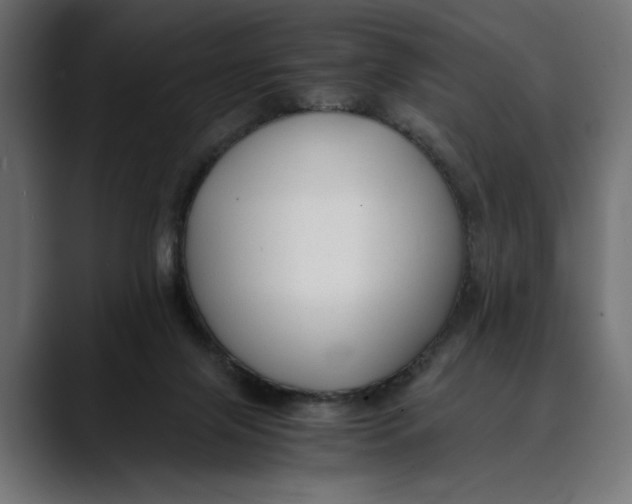 X0000088910071200707061353