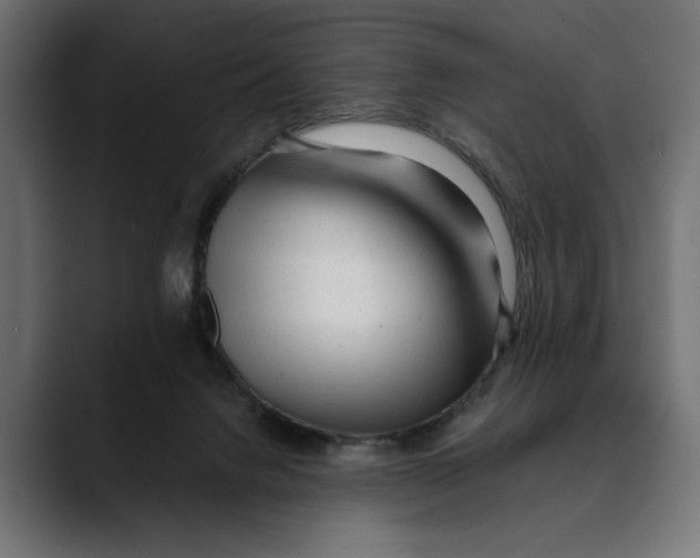 X0000088910072200707061353