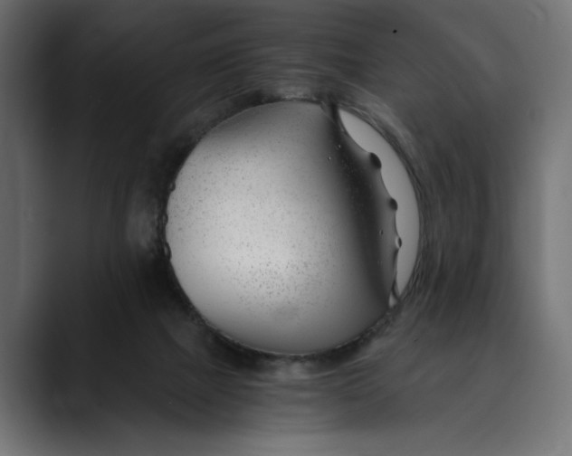 X0000088910073200707061353