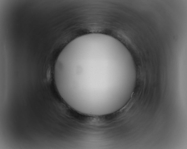 X0000088910074200707061353