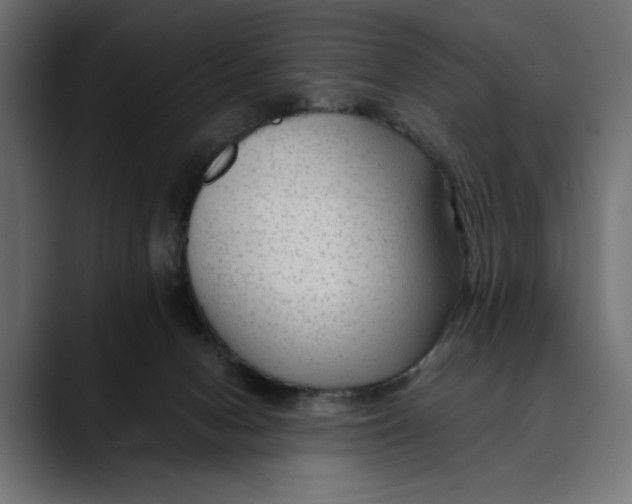 X0000088910078200707061353