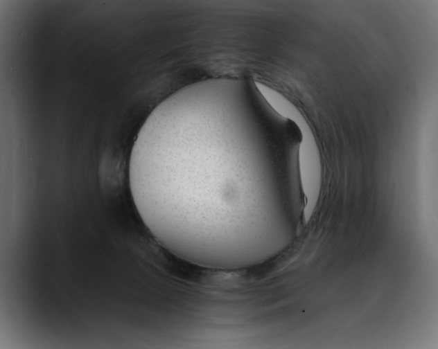 X0000088910081200707061353