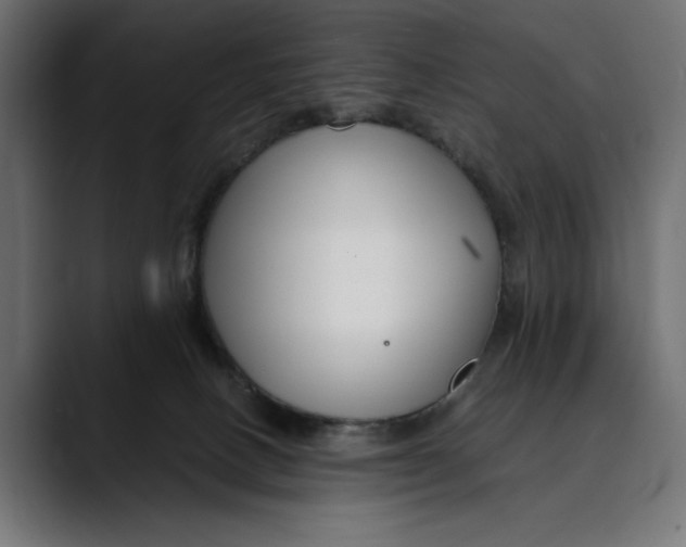 X0000088910082200707061353