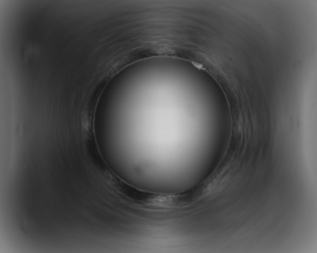 X0000088910084200707061353