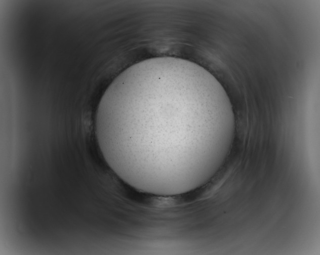 X0000088910085200707061353