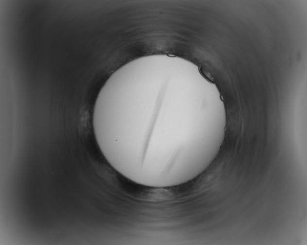 X0000088910087200707061353