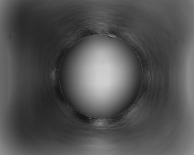 X0000088910088200707061353