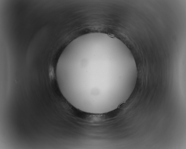 X0000088910089200707061353