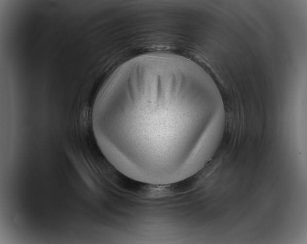 X0000088910093200707061353