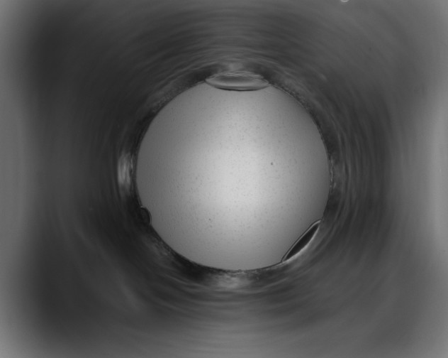 X0000088910094200707061353