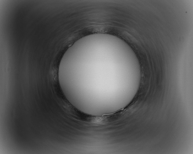 X0000088910096200707061353