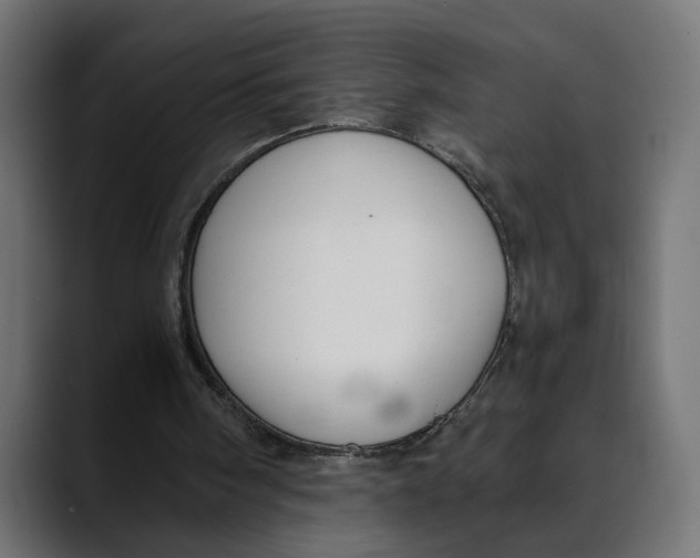 X0000088910098200707061352