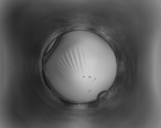 X0000088910102200707061352