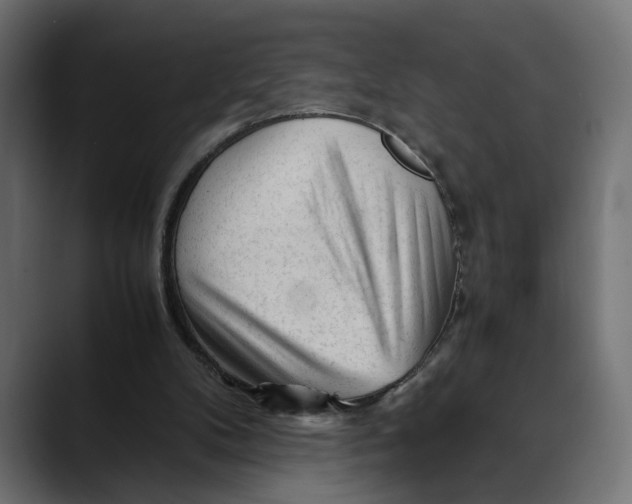 X0000088910104200707061352