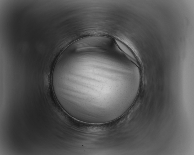 X0000088910105200707061352