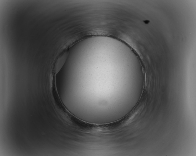 X0000088910109200707061352