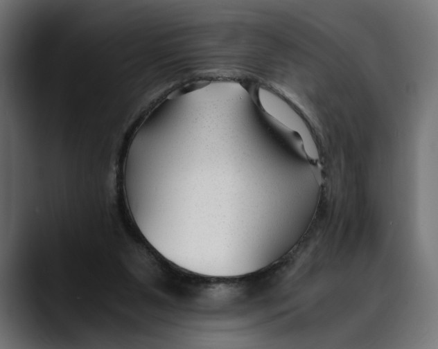 X0000088910111200707061352