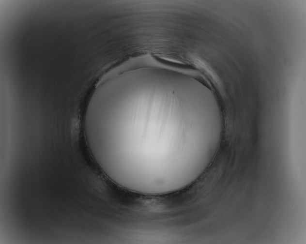 X0000088910113200707061352