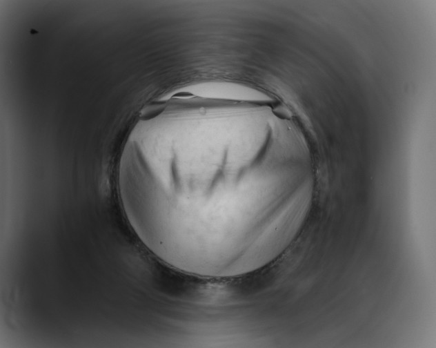 X0000088910114200707061352