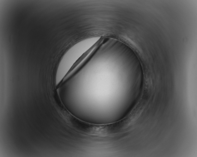 X0000088910117200707061352