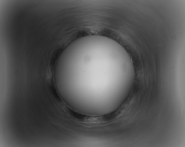 X0000088910129200707061352