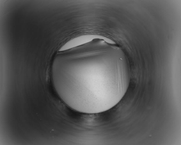 X0000088910131200707061352