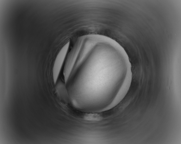 X0000088910137200707061352