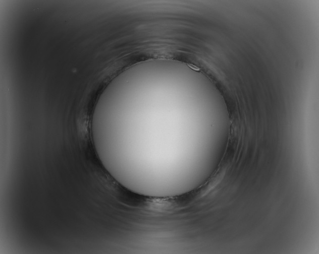 X0000088910141200707061352