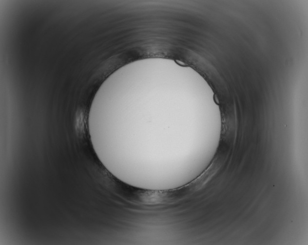 X0000088910142200707061352