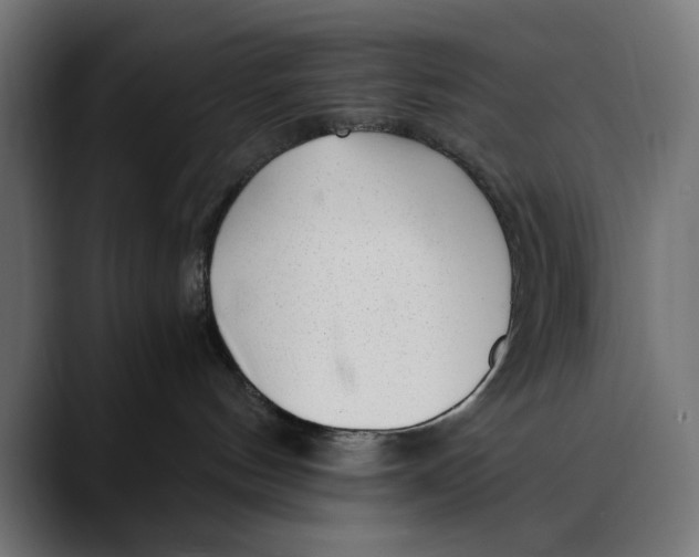 X0000088910144200707061352