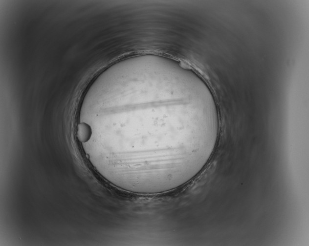 X0000088910145200707061351