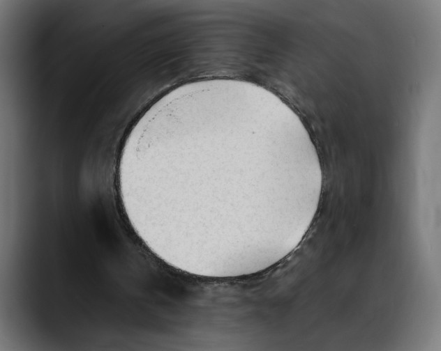 X0000088910146200707061351