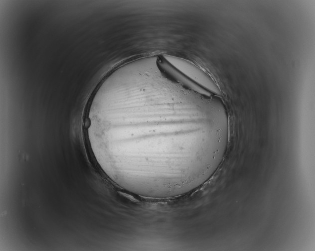 X0000088910147200707061351