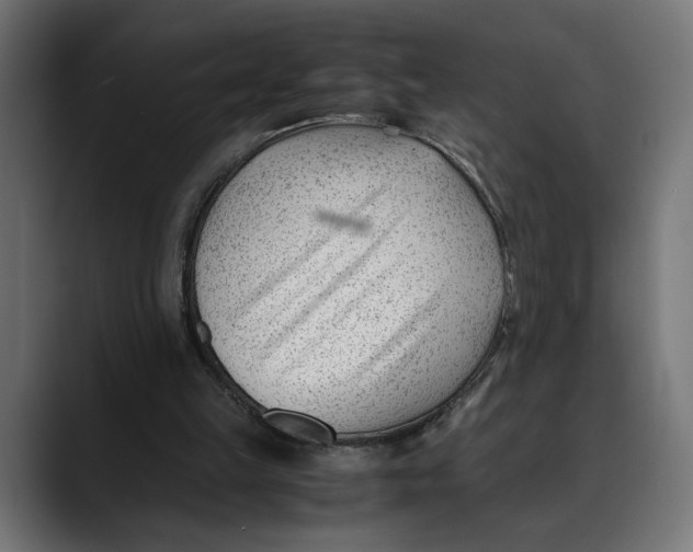 X0000088910149200707061351