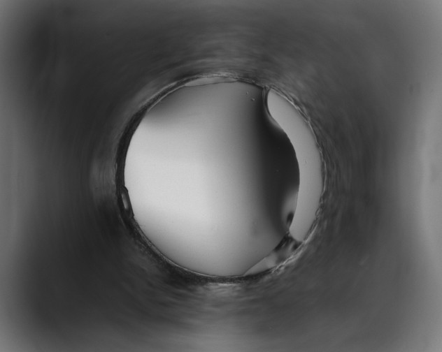 X0000088910150200707061351