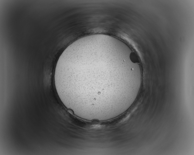 X0000088910153200707061351