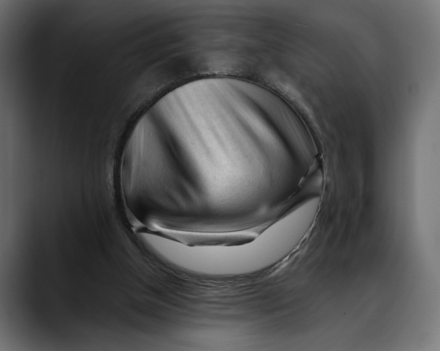 X0000088910154200707061351